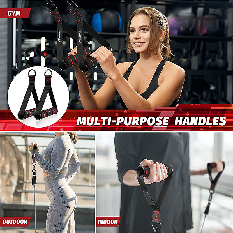 Heavy Duty D-Ring Metal Gym Ha - Yoga Fitness Power Yoga ulasan dan harga